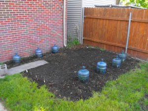 Veg-garde-2013