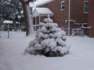 First Snow