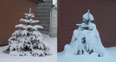 Snow on 3-20-2006