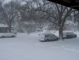 Winter Wonder Land
