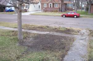 Yard